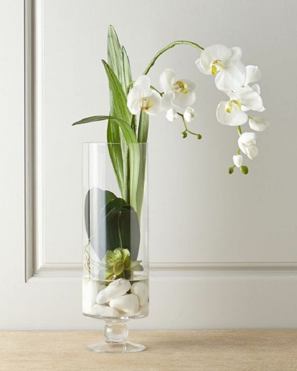 Vaso de vidro para orquídeas